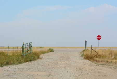 Quiet Road