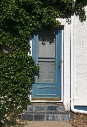 Ivy Door